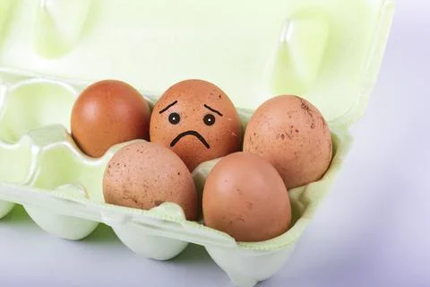 Studio lighting. brown chicken egg in the tray. A drawing is drawn on it. Dis Stock Photos