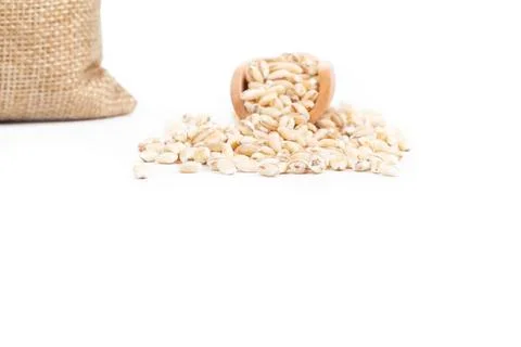 Studio lighting. Groats on a white background, close-up. Pearl barley. No iso Stock Photos