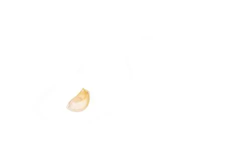 Studio lighting. A head of garlic and a small slice on a white background. Cl Stock Photos