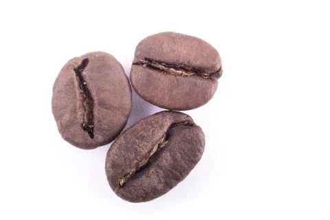 Studio lighting. macro. Coffee grain on a white background. Soft focus. Close Stock Photos
