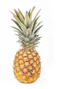 Studio lighting. white background. it has a juicy fruit on it. Pineapple. Stock Photos
