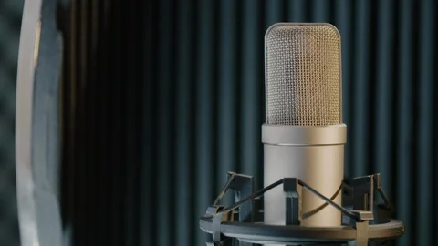 Studio mic with acoustic absorber - focus out Video stock 125475224