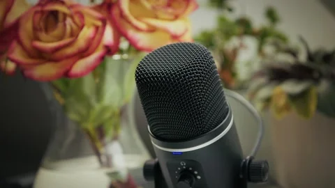 Studio microphone with roses in background Stock Footage 320417140