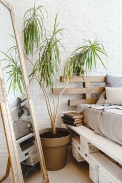 Studio modern creative interior with mirror, plant in vase, bed and books Stock-Fotos