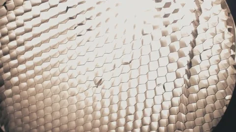 Studio photo light with honeycomb Stock Footage 50244710