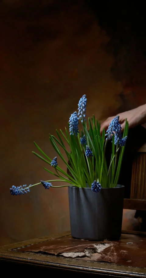 Studio photograph featuring a textured brown, fresh spring blossoms Video stock 329470480