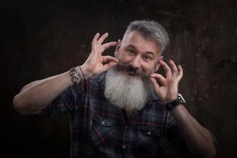 Studio portrait of a gray-haired middle-aged bearded man twists his mustache and Stock Photos