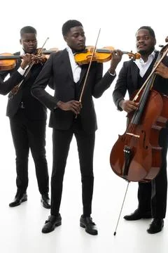 Studio portrait of a string quartet on a white background. African americans Stock Photos