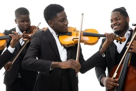Studio portrait of a string quartet on a white background. African americans Stock Photos