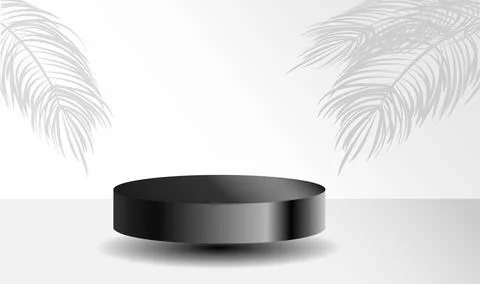 Studio with a shadow of palm leaves on the wall, a room with a minimum number of Stock Illustration
