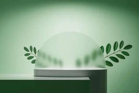 Studio shot of 3d presentation pedestal with branch with leafs and green Stock Illustration