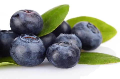 Studio shot of assortment fresh macro close up blueberries with leaves isolat Stock Photos