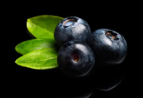 Studio shot of assortment fresh macro close up blueberries with leaves isolat Stock Photos