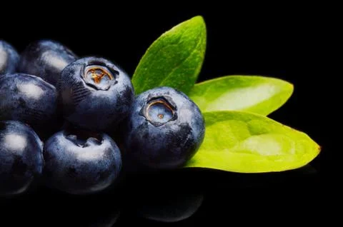Studio shot of assortment fresh macro close up blueberries with leaves isolat Stock Photos