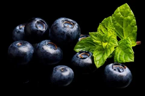 Studio shot of assortment fresh macro close up blueberries with leaves isolat Stock Photos