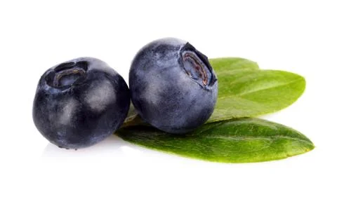 Studio shot of assortment fresh macro close up blueberries with leaves isolat Stock Photos