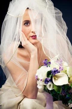 Studio Shot of a Beautiful Bride 写真素材