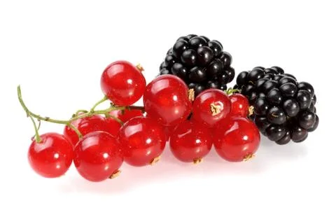 Studio shot of black and red berries Stock Photos