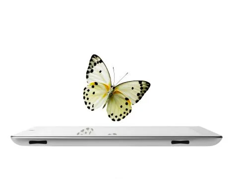 Studio shot of butterfly over digital tablet Stock Photos