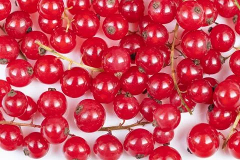 Studio shot capturing intense color and texture of red currants. Detailed s.. Stock Photos