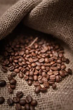 Studio Shot of Coffee Beans Stock Photos