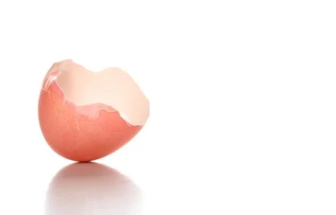 Studio shot of egg shell Fotos de archivo