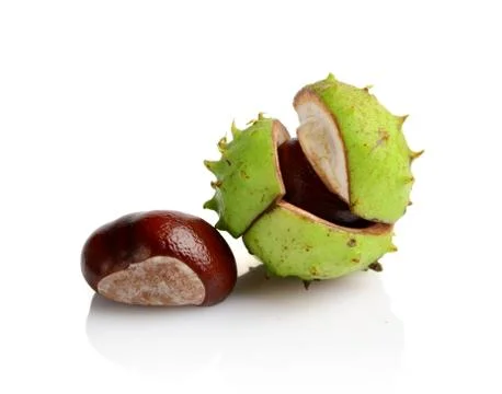 Studio shot of few chestnuts with shell isolated on white background Stock Photos