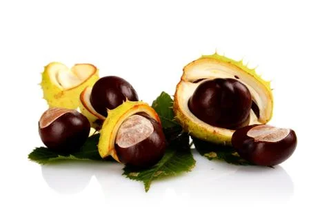 Studio shot of few chestnuts with shell isolated on white background Stock Photos