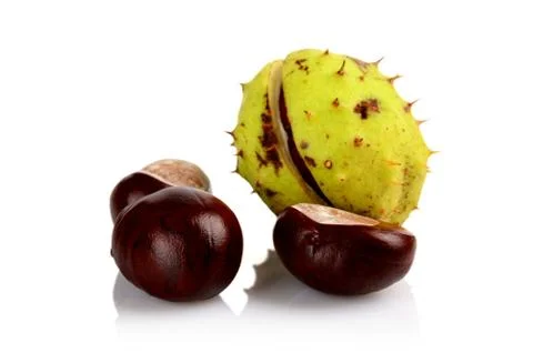 Studio shot of few chestnuts with shell isolated on white background Stock Photos