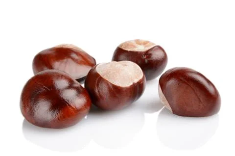 Studio shot of few chestnuts with shell isolated on white background Stock Photos