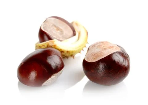 Studio shot of few chestnuts with shell isolated on white background Stock Photos