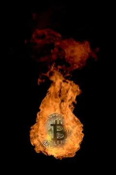 Studio shot of golden bitcoin on fire isolated on black background. Concept for Stock Illustration