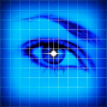 Studio shot of grid pattern with female eye Stockillustratie