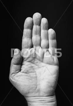 Studio shot of hand Stock Photos