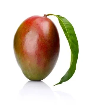 Studio shot of one whole mango with leaf isolated on a white background Stock Photos