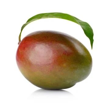 Studio shot of one whole mango with leaf isolated on a white background Stock Photos