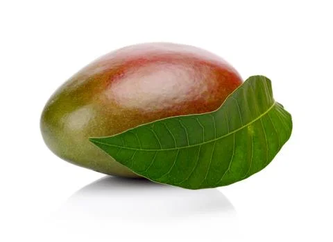 Studio shot of one whole mango with leaf isolated on a white background Stock Photos