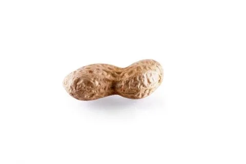 Studio shot of a peanut on white background Stock Photos