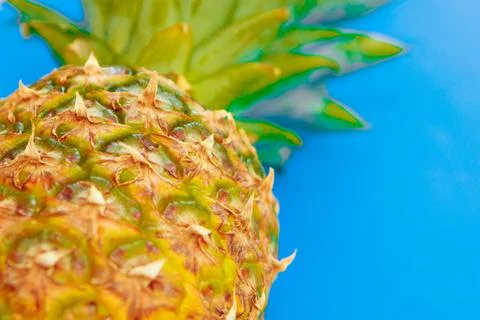 Studio shot of pineapple on blue background. tropical fruits are isolated Стоковые фото