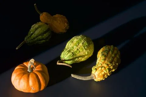 Studio shot of pumpkins on a black background. Stock Photos