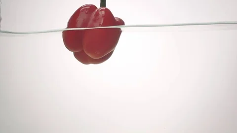 Studio shot red bell peppers in water splash in aquarium on white background Stock Footage 84387862
