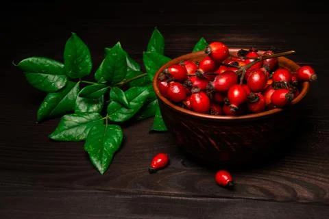 The studio shot of red rose hips with green branch on dark wooden background. 스톡 사진