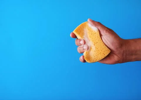 A studio shot of a soapy sponge being squeezed on a blue background Stock Photos