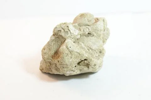 Studio shot of a stone on white background Stock Photos