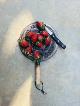 Studio shot of strawberries Stock Photos