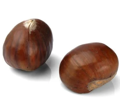 Studio shot of two chestnuts on white background Stock Photos