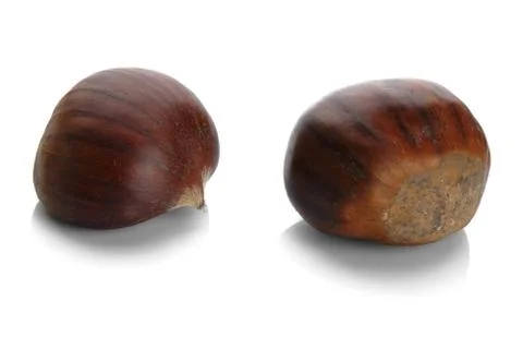 Studio shot of two chestnuts on white background Stock Photos