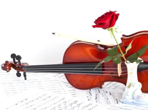 Studio shot of violin, notes and red rose on white background Stock-Fotos
