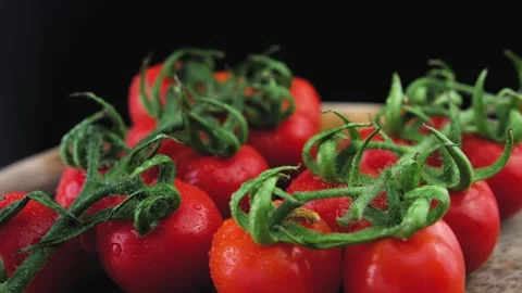 Studio still life with cherry tomatoes footage. Stock Footage 148420602
