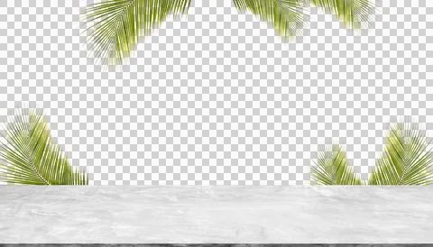 Studio summerBakcground Empty Room Minimal Kitchen Table Podium Bar Mockup Stock Photos